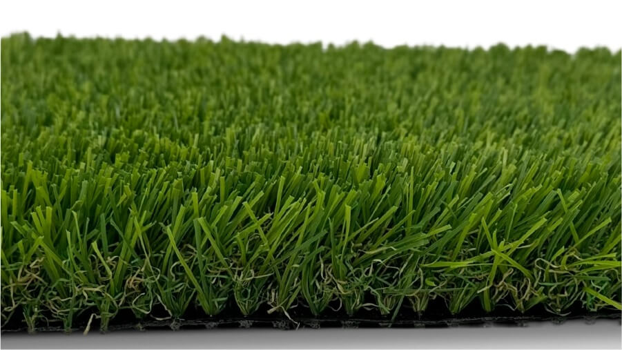 Lush Emerald turf close-up